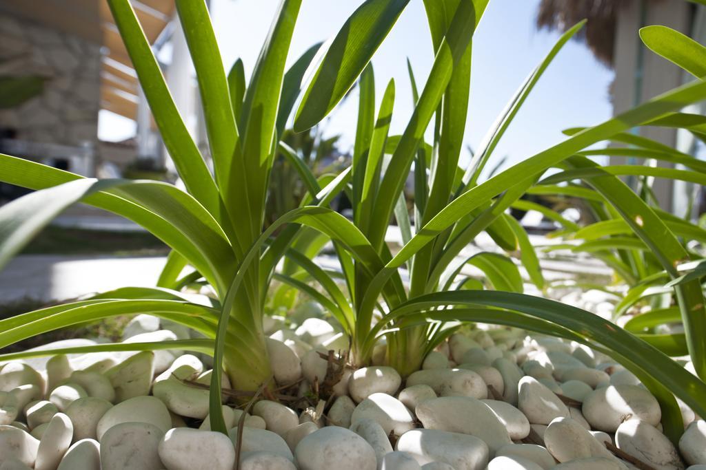 Sade Alacati Hotel Dış mekan fotoğraf